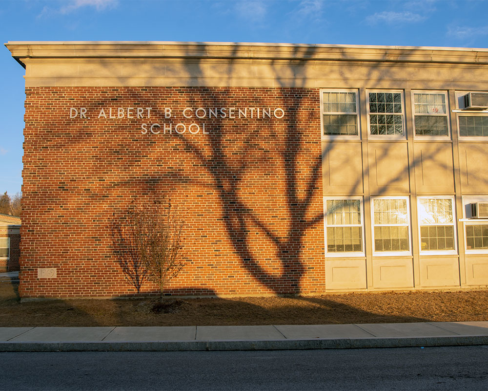 Final Plan for Consentino School to Emerge in Spring; Repair or Replacement a Local Decision