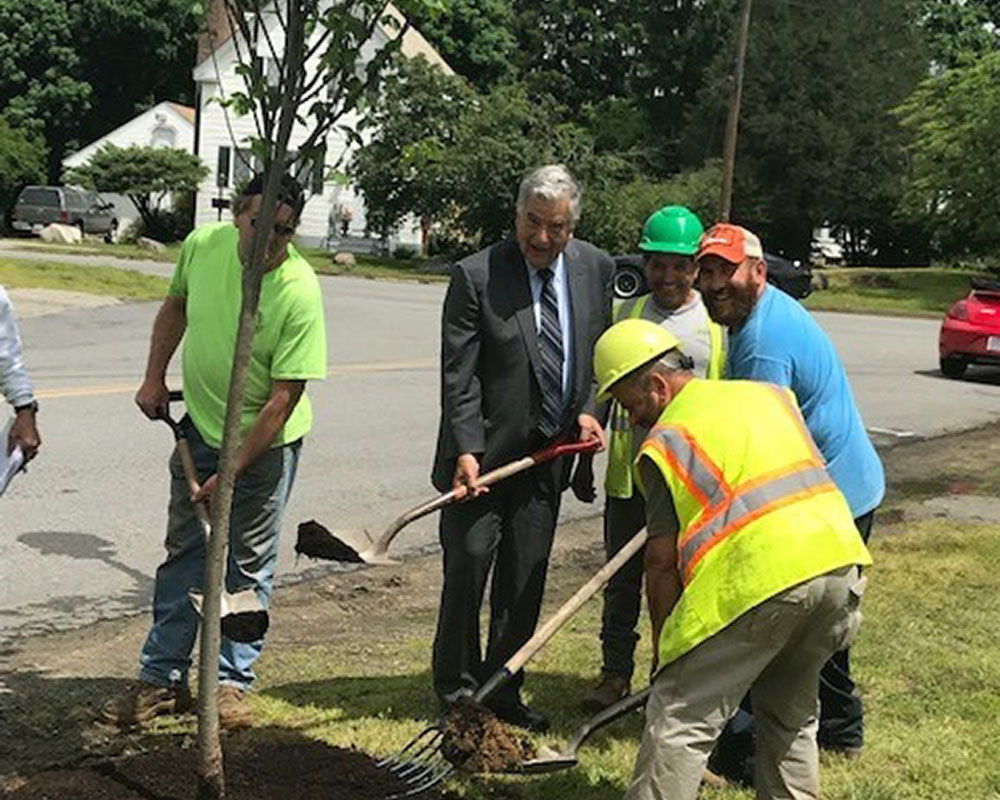 Haverhill Receives $100,000 State Grant to Plant 300 More Trees Throughout the City