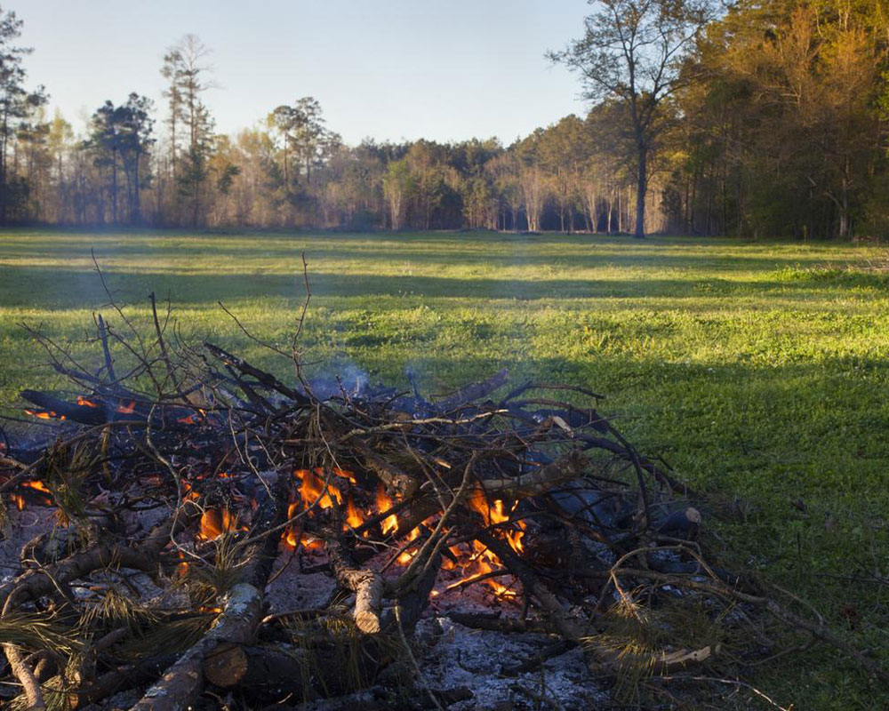 West Newbury Open Burning Permits Available; Residents Urged to Apply Online
