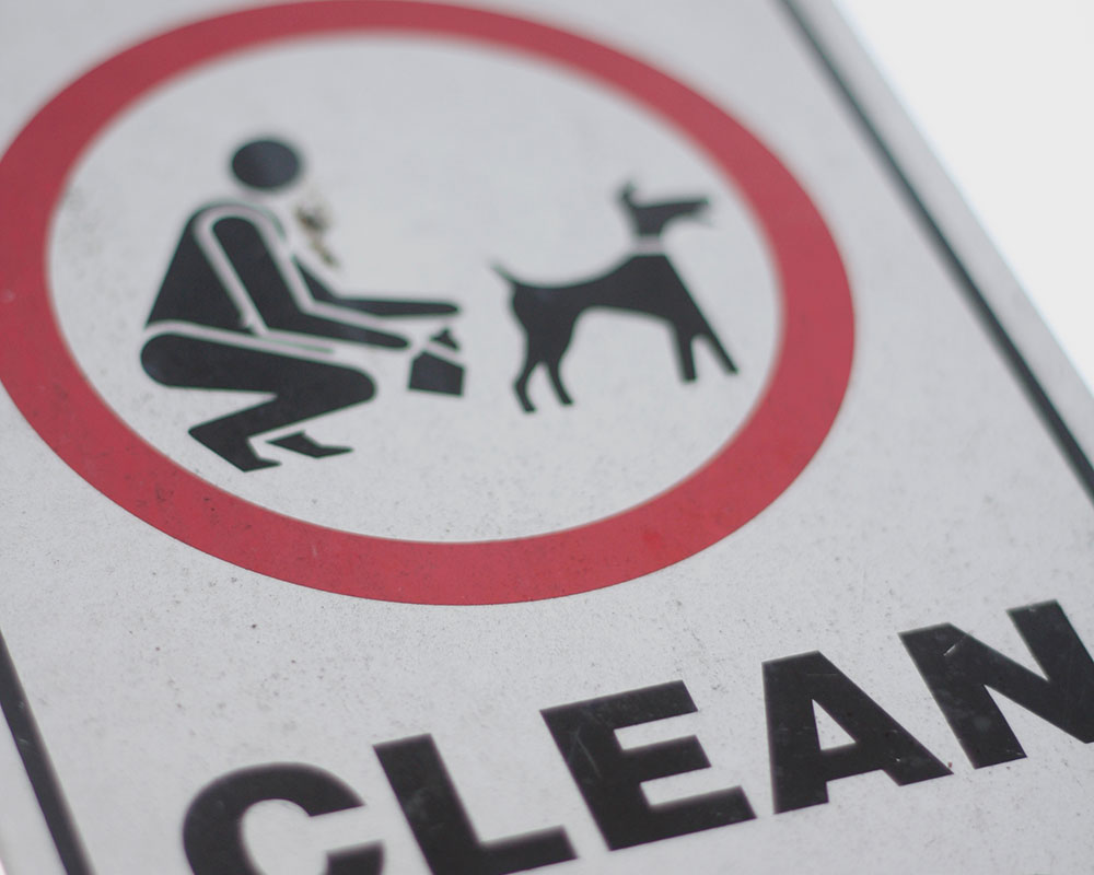 Haverhill Dog Poop Fine Could Rise to $1,000 for Habitual Offenders