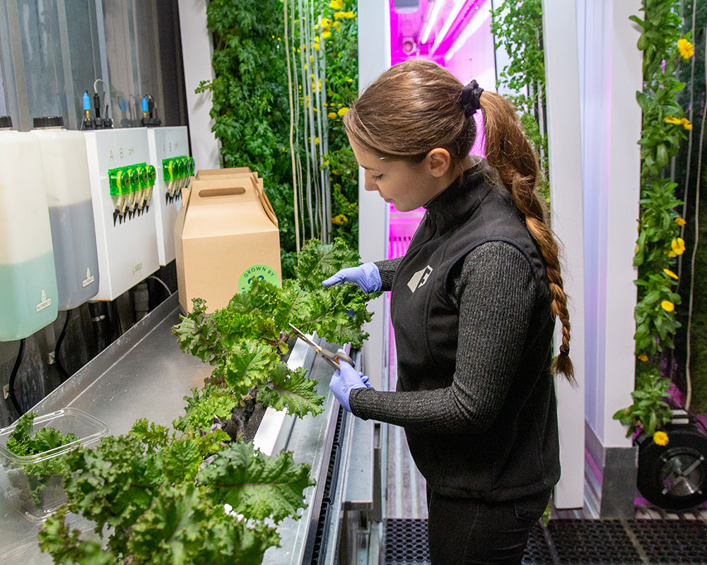 Haverhill’s Gateway Academy Plans to Open Year-Round Container Farm